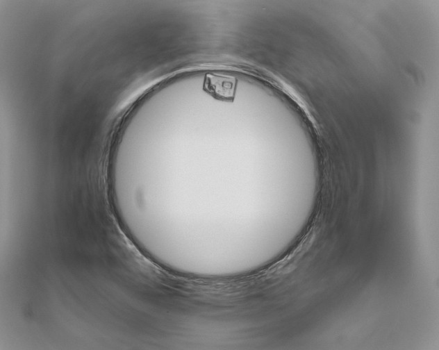 X0000111011456200907311042