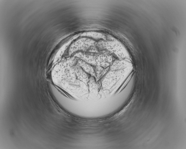 X0000111011457200907311042