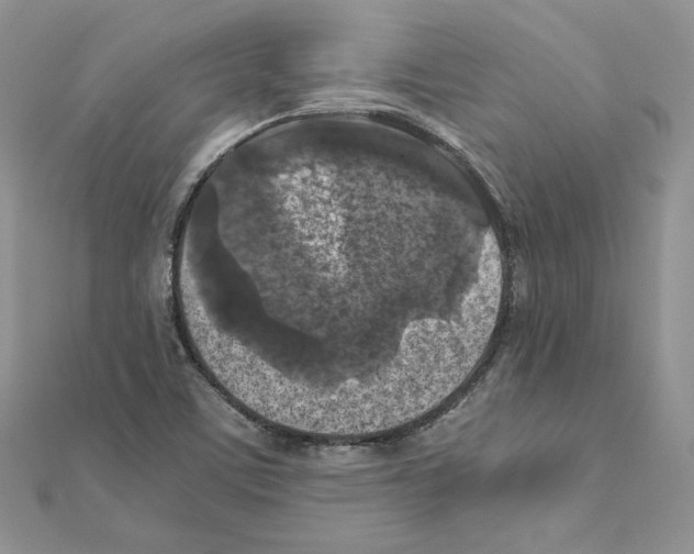 X0000111011459200907311042