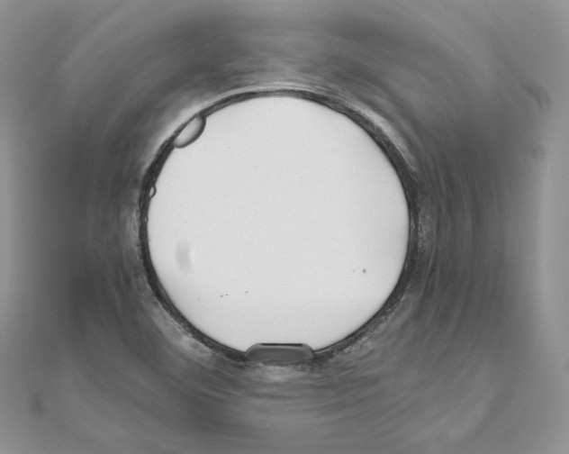 X0000111011460200907311042