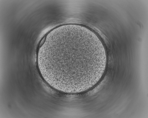 X0000111011461200907311042