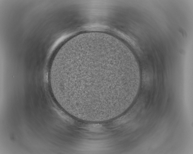 X0000111011462200907311042