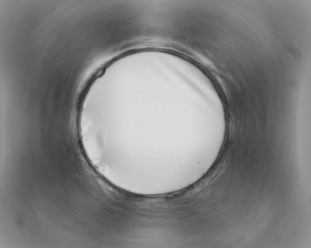 X0000111011464200907311041