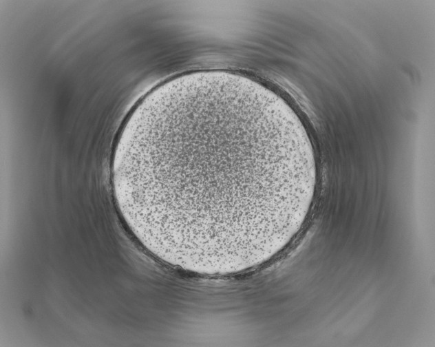 X0000111011465200907311041