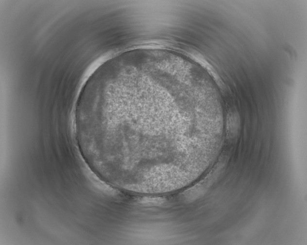 X0000111011466200907311041