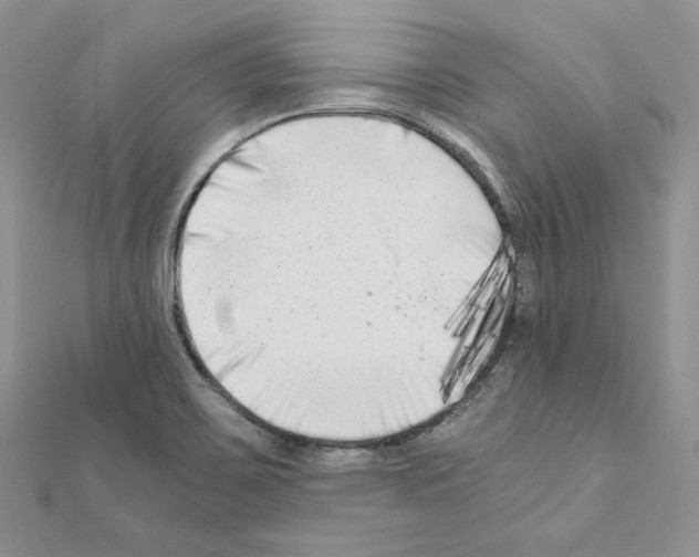 X0000111011467200907311041