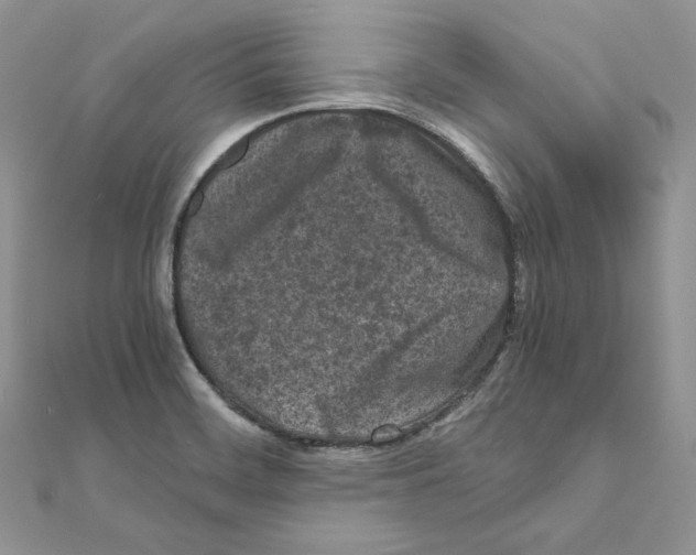 X0000111011468200907311041