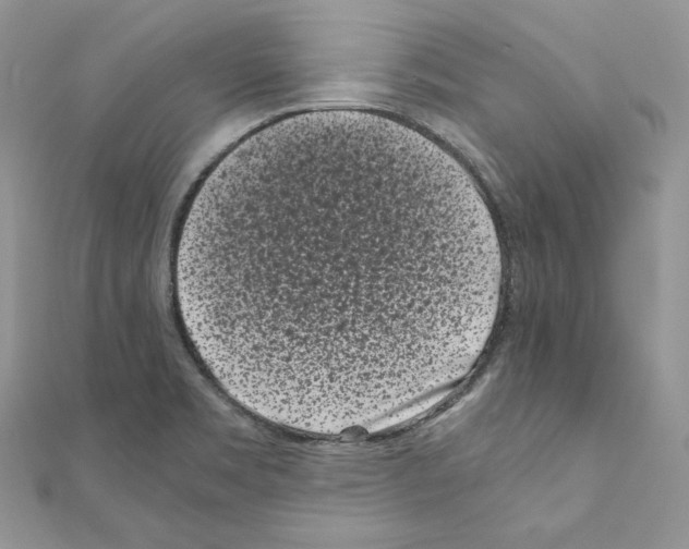 X0000111011469200907311041