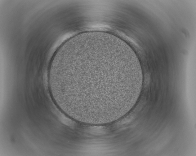 X0000111011470200907311041
