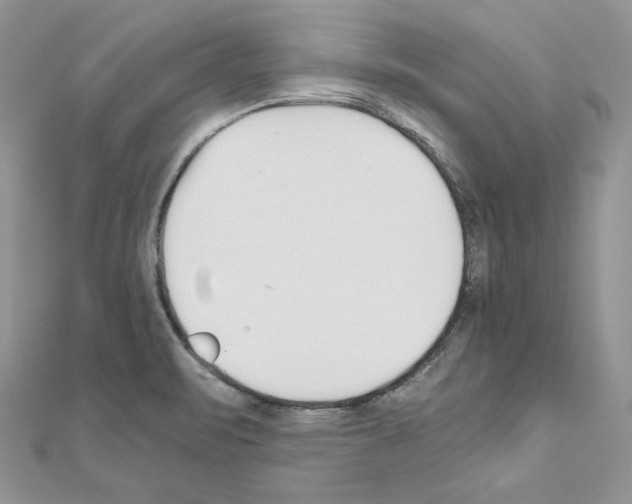 X0000111011471200907311041