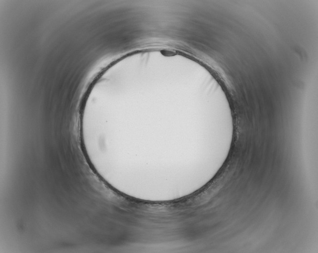 X0000111011472200907311041
