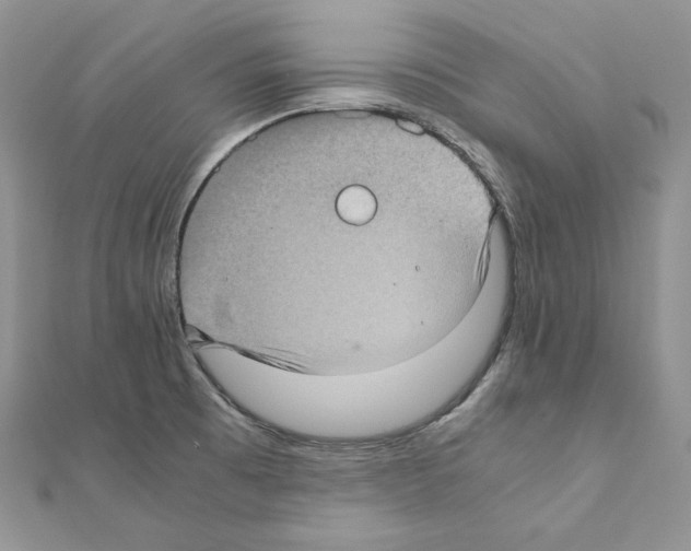 X0000111011473200907311041