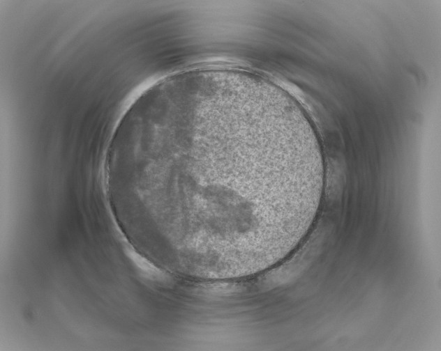 X0000111011474200907311041