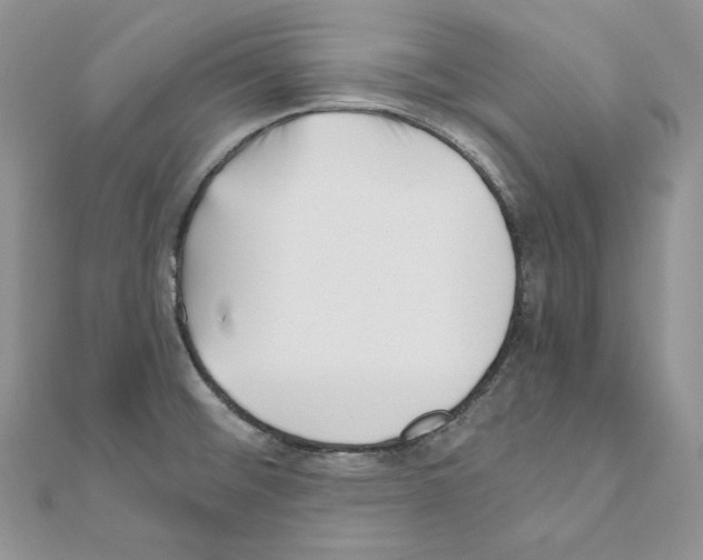 X0000111011476200907311041