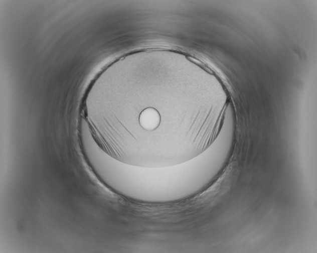 X0000111011477200907311041