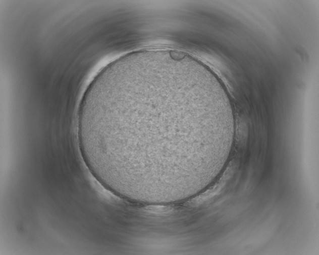 X0000111011478200907311041
