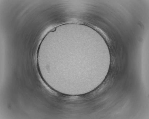 X0000111011479200907311041