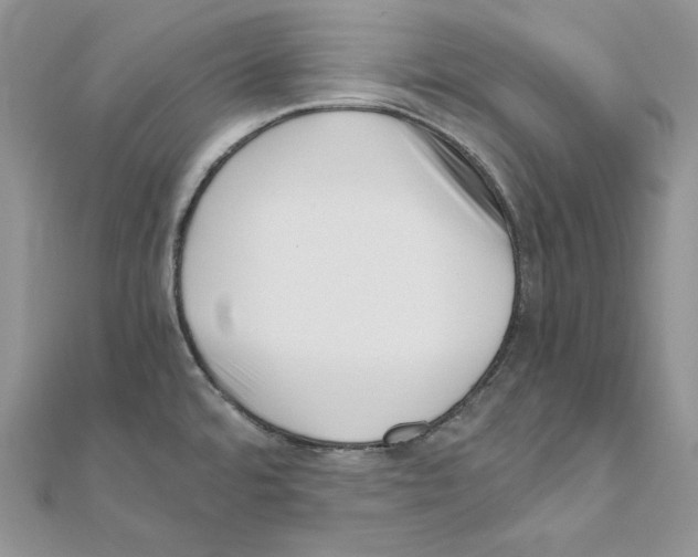 X0000111011480200907311041