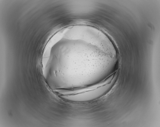 X0000111011481200907311041