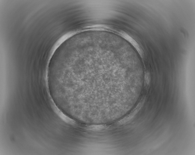 X0000111011482200907311041