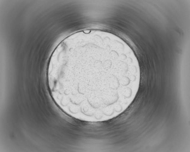 X0000111011483200907311041