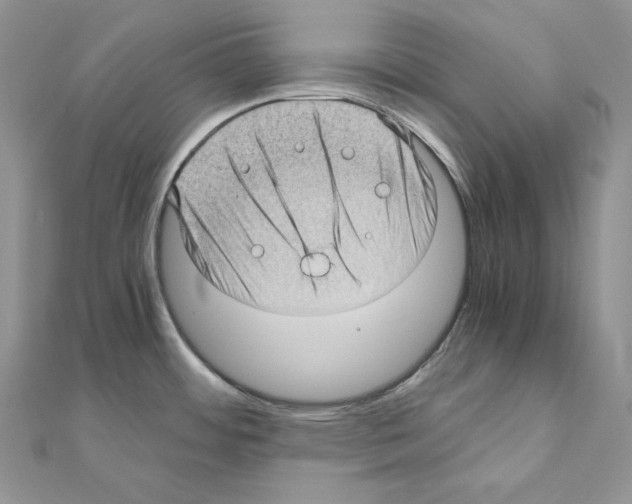 X0000111011484200907311041