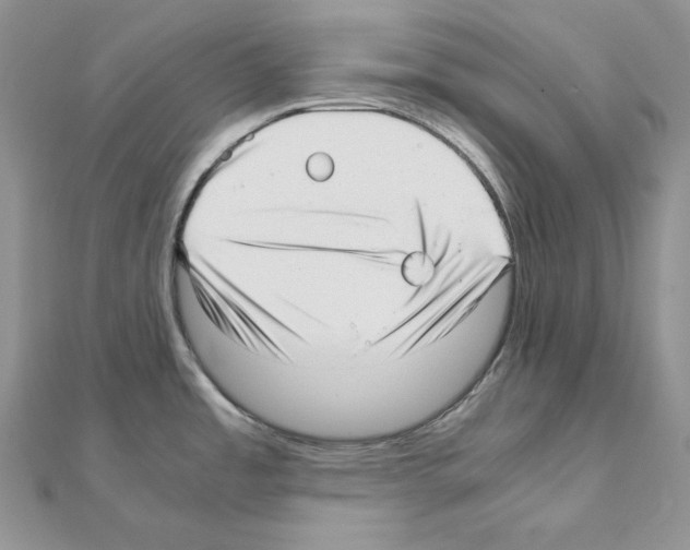 X0000111011485200907311041