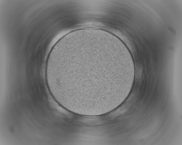 X0000111011486200907311041