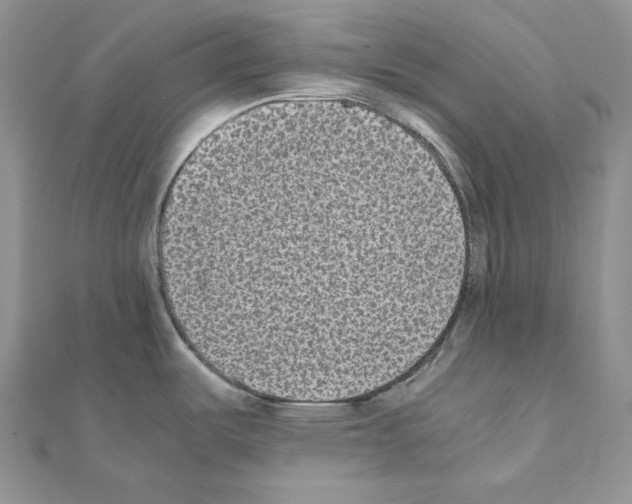 X0000111011487200907311041