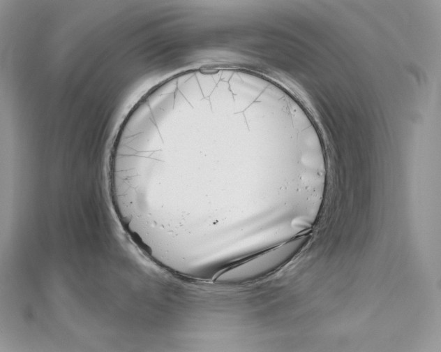 X0000111011488200907311041