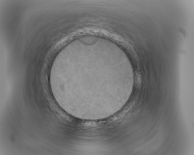 X0000111011489200907311041