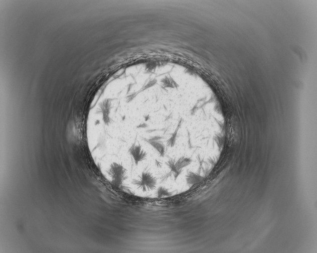 X0000111011490200907311041