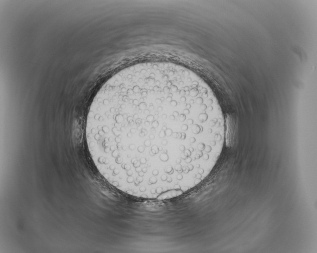 X0000111011491200907311041