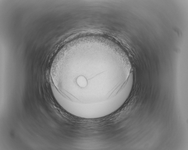 X0000111011492200907311041