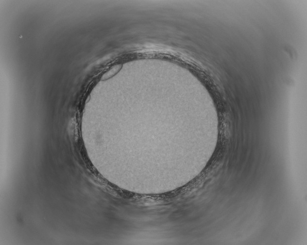 X0000111011493200907311041