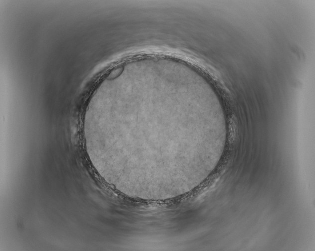 X0000111011494200907311041