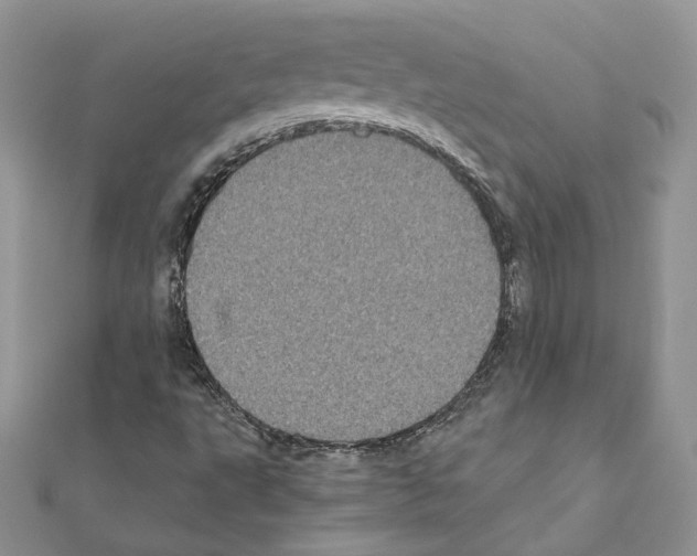 X0000111011495200907311041