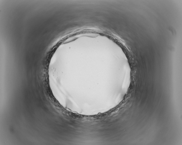 X0000111011496200907311041