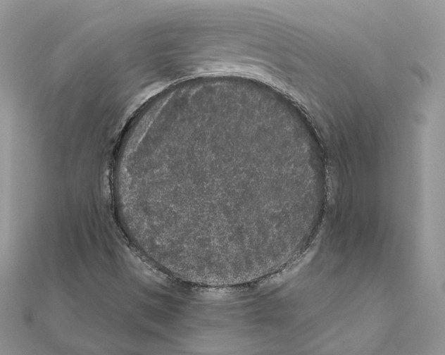 X0000111011497200907311041
