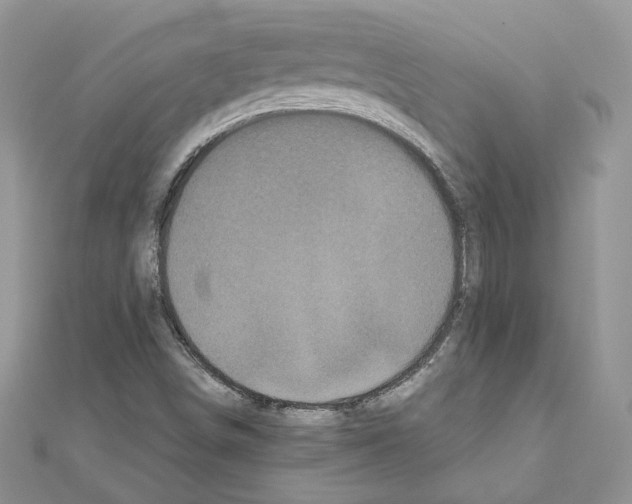 X0000111011498200907311041