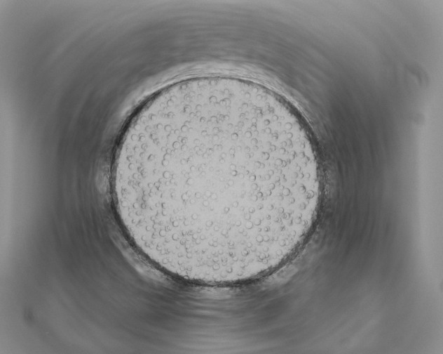X0000111011499200907311041