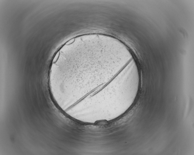 X0000111011500200907311041