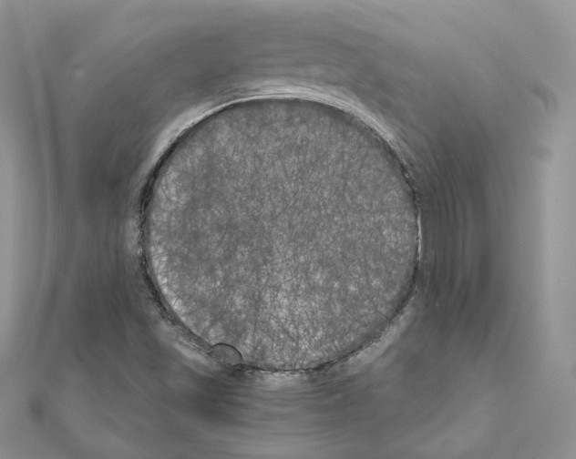 X0000111011501200907311041