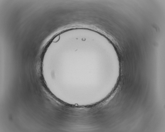X0000111011502200907311041