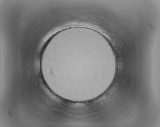 X0000111011503200907311041