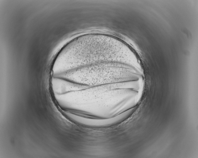 X0000111011504200907311041