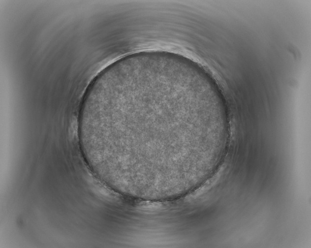 X0000111011505200907311041