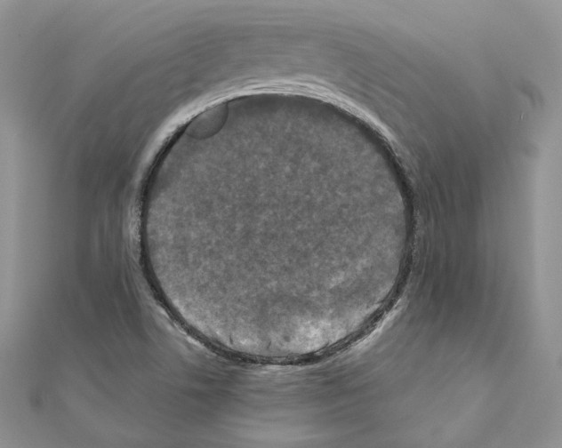 X0000111011506200907311041