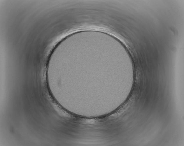 X0000111011507200907311041