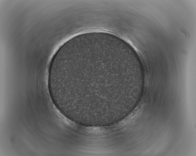 X0000111011508200907311041